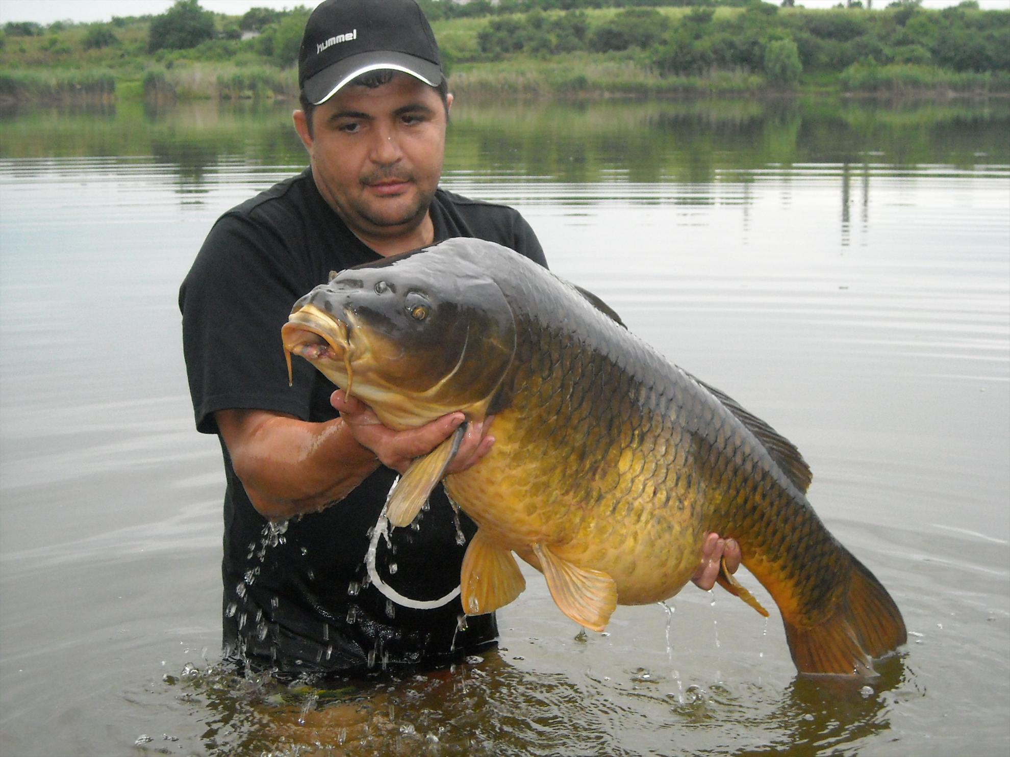 Senior Trophy (2) - 2010 - dscn6081.jpg